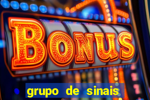 grupo de sinais fortune rabbit